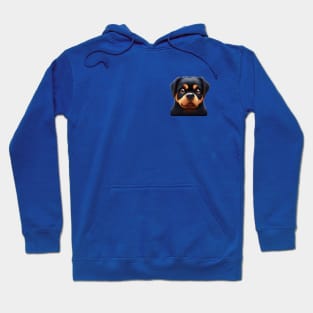 Small Version - Playful Rottweiler Hoodie